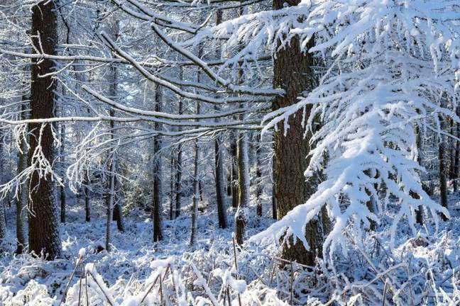 Snow is beautiful, but it can be annoying. Credit: Peter J. Hatcher/Alamy Stock Photo