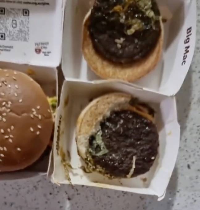 The three-month-old burger didn't have any 'mould' or 'rot' on it.  Credit: @djbobloblaw3/ TikTok