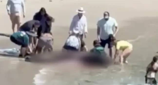 The woman sadly died from the shark attack. Credit: KSBW