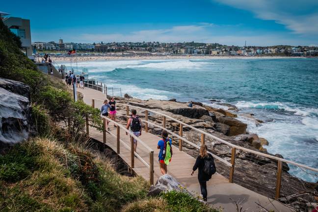 Jesse is a familiar sight for those who take the Bondi to Coogee coastal walk. Credit: picturelibrary / Alamy Stock Photo