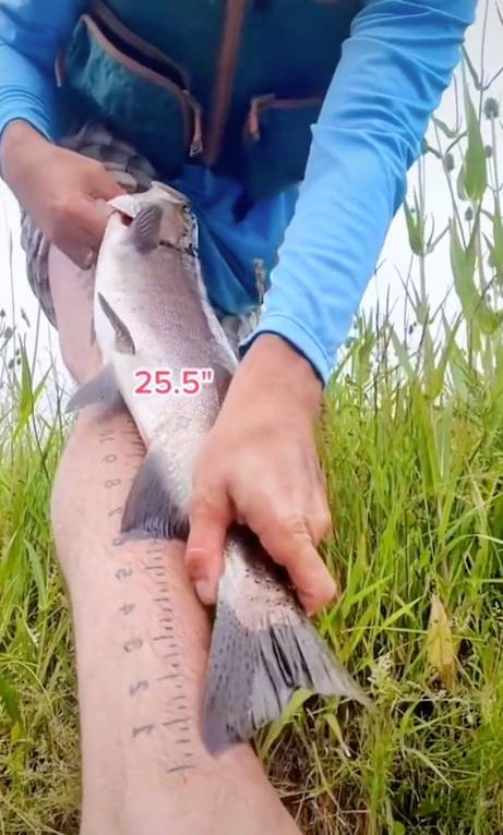 Fisherman gets ruler tattoo on his leg so he can always measure his catch