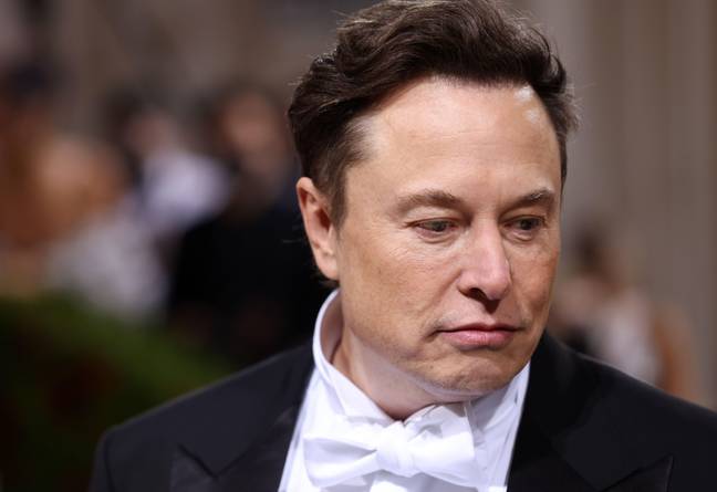 Musk has vowed to enhance 'free speech' on Twitter as well as cracking down on anonymity. Credit: Alamy