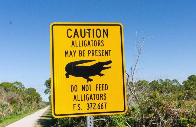Alligator warning sign. Credit: Alamy