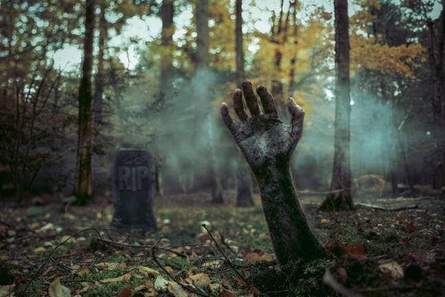 If you're buried alive there's a good chance you're not making it far enough out of the ground to dramatically stick an arm up. Credit: colin roberts / Alamy Stock Photo