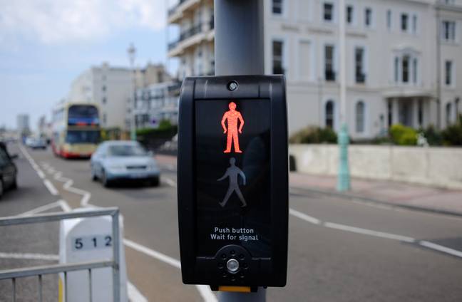 A puffin crossing, which is not named after the bird. Credit: Edward Simons / Alamy Stock Photo