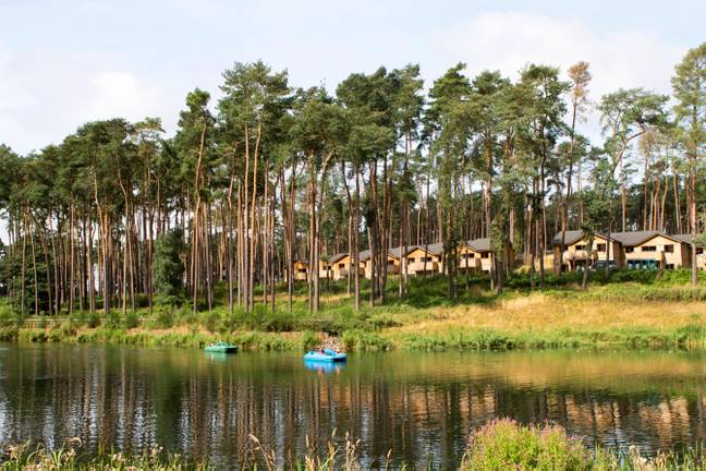 Center Parcs is closing all of its sites for the Queen's funeral. Credit: Mint Photography/Alamy 