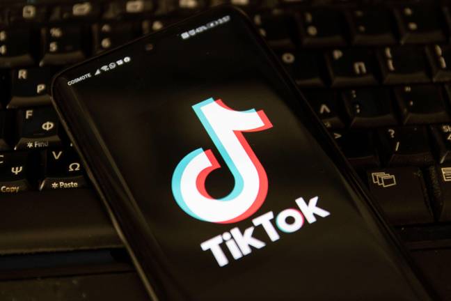 Some politicians are very worried about the privacy risks posed by TikTok. Credit: NurPhoto SRL/Alamy Stock Photo