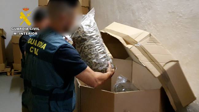 The amount of marijuana found was staggering. Credit: Guardia Civil 