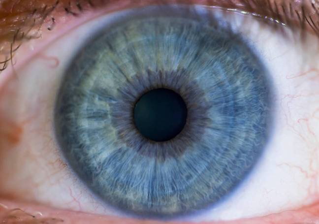 Where do blue eyes come from? Credit: Geoff Smith / Alamy Stock Photo