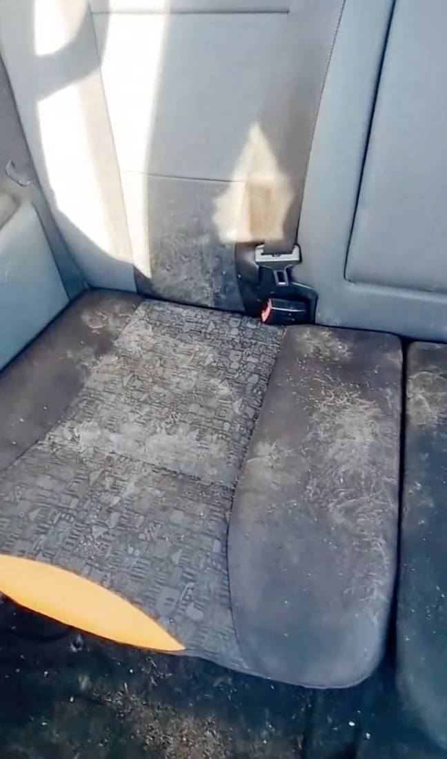 The back seat is pretty much how you'd think. Credit: TikTok/@steviehats