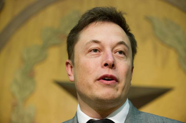 Elon Musk. credit: Bob Daemmrich / Alamy Stock Photo