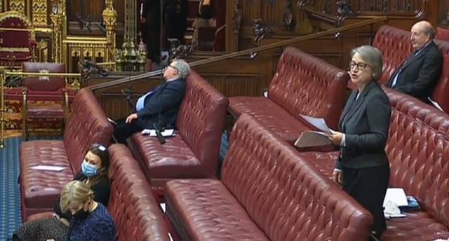He has denied that he was kipping. Credit: Parliamentlive.tv