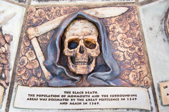 The Black Death devastated the population of the Europe in the 1300s. Credit: David Bleeker Photography/Alamy