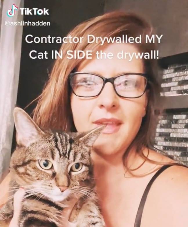 One woman’s cat decided to explore inside a wall - and ended up getting plastered inside it. Credit: @ashlinhadden / TikTok