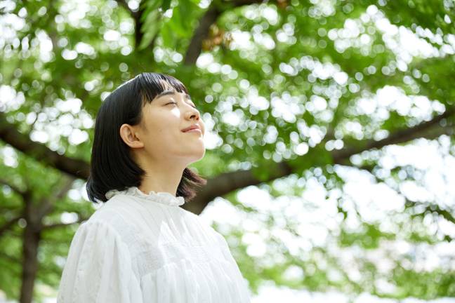 Brown noise can have a calming effect for some. Credit: Aflo Co., Ltd. / Alamy Stock Photo