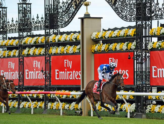 Ryan Moore rides Protectionist to win the 2014 Emirates Melbourne Cup. Credit: Action Plus Sports Images / Alamy. 