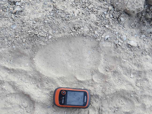 A footprint left by a large animal in Nepal. Credit: Pen News