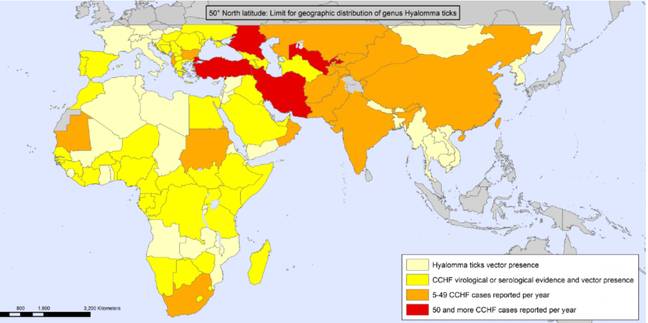 A map showing the distribution of CCHF infections. Credit: WHO