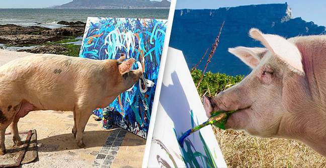 'Pigcasso' Sells Painting For £20,000