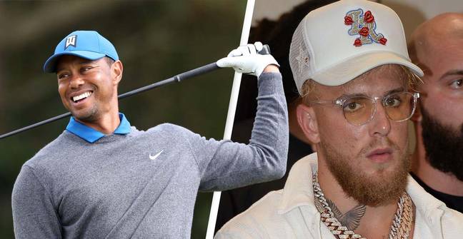 Jake Paul Wants To Fight Tiger Woods