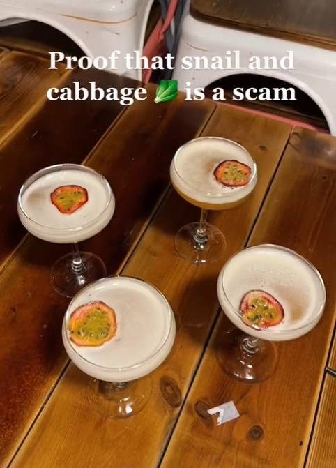 This TikTokker alleges that these cocktails are a scam (Credit: TikTok/emilyjanepalmer)
