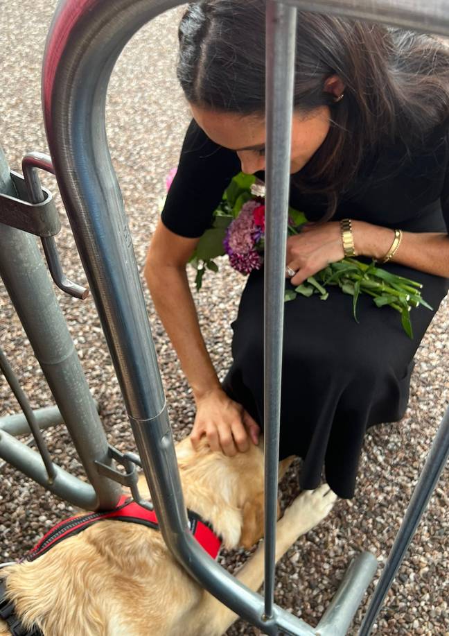 Meghan and Harry both spent some time with Sarah's Labrador pup. Credit: Twitter/@sarahgracie