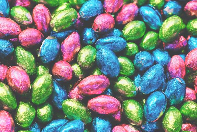 Chocolate is a well-known danger to dogs, and with Easter just around the corner, Amy Luker, senior training vet surgeon at Dogs Trust has reminded us just how lethal this sweet treat can be to our pets (Tim Gouw).