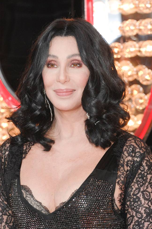 Cher in 2010. Credit: Everett Collection Inc/Alamy Stock Photo