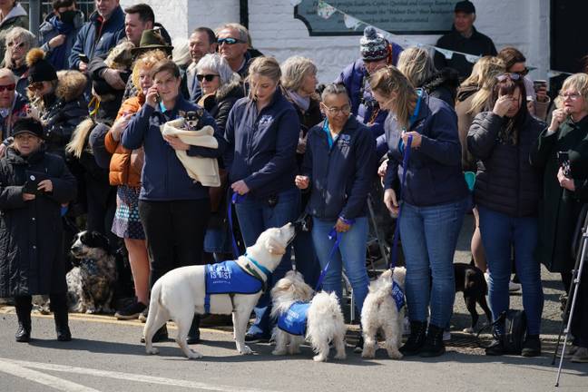 Dogs from Battersea were among the crowds paying their respects to Paul O'Grady. Credit: PA Images