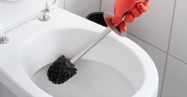 Would you clean your toilet brush in the dishwasher? Credit: Christian Horz / Alamy Stock Photo