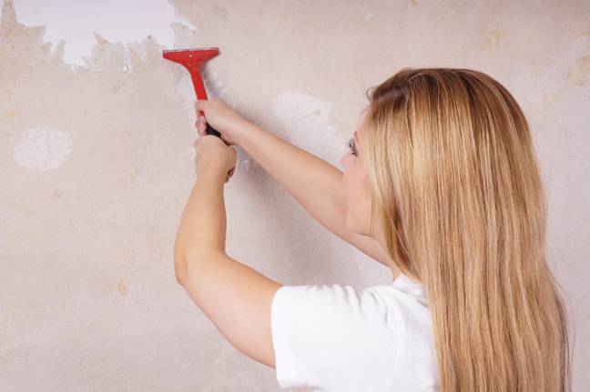 One woman found some DIY advice after stripping back her wallpaper. Credit: Axel Bueckert/Alamy Stock Photo