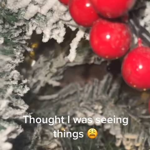 The woman was shocked to find a mouse in her Christmas tree. Credit: TikTok/@gina_premmama