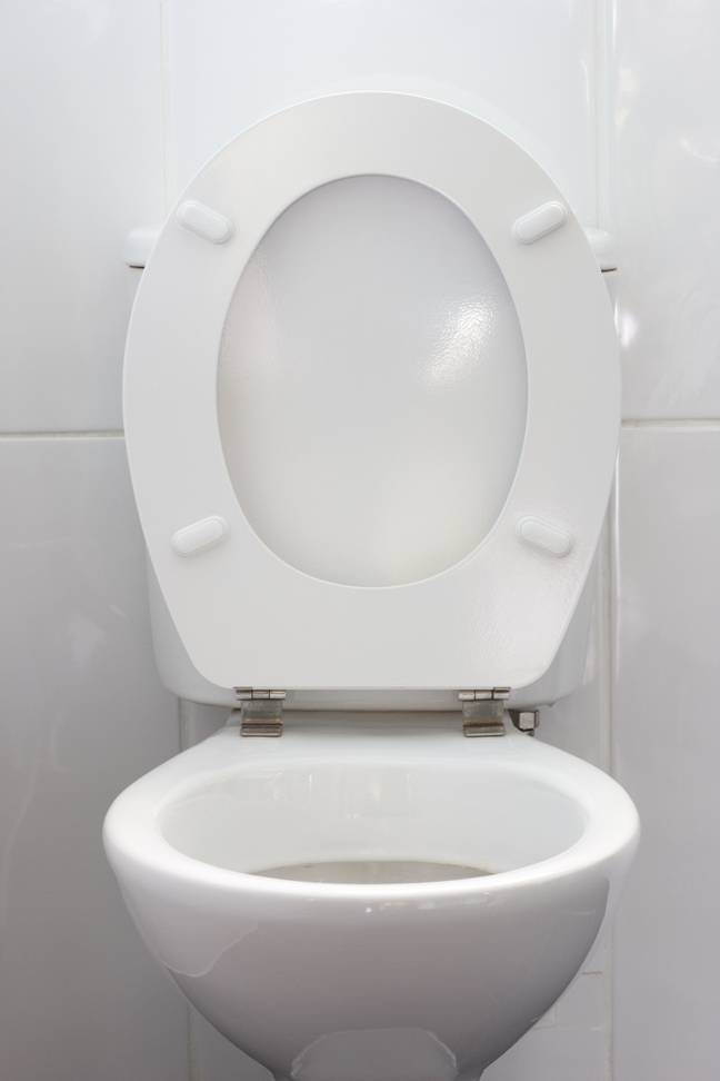 The woman claimed that the co-worker's wife clogged up their toilet. Credit: Radharc Images / Alamy Stock Photo