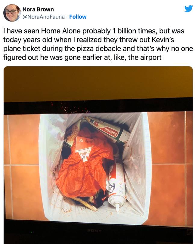 Despite watching Home Alone 'one billion times' one user was 'today years old' when they clocked Kevin's plane ticket ends up in the bin. Credit: @NoraAndFauna/ Twitter