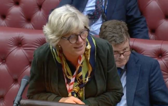 Lord Young was swiftly interrupted by Baroness Bloomfield (Credit: BBC)