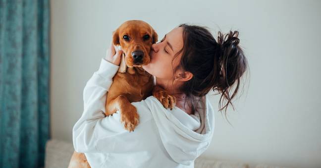 When you think about it... dog's mouths have been in some pretty questionable places. (Credit: Pexels)