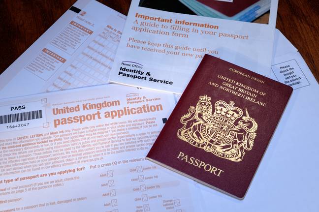 The passport office is currently facing a chaotic backlog (Credit: Alamy)