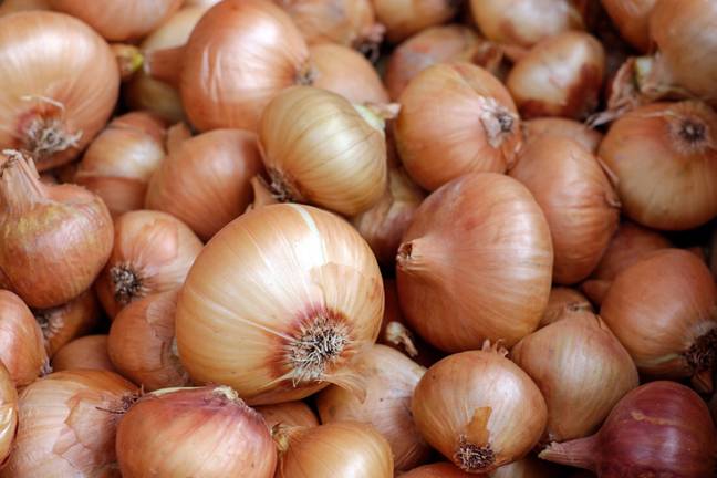 onions are “toxic and shouldn’t form a part of your dog's diet,” Alison Frost, ProDog Raw’s canine nutritionist, tells us (Unsplash Mayu ken).