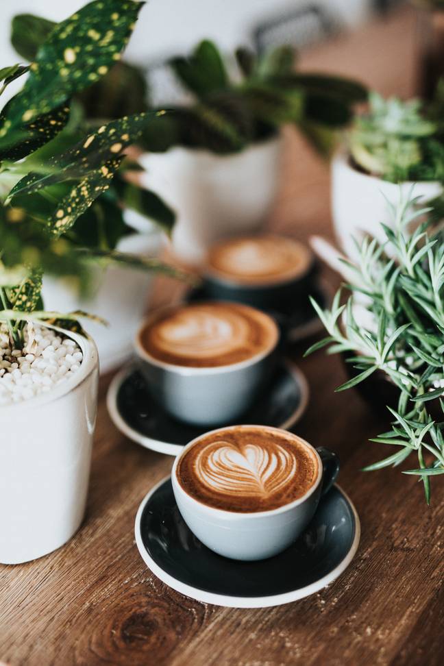 You may not have to give up your morning coffee entirely (Credit: Unsplash)