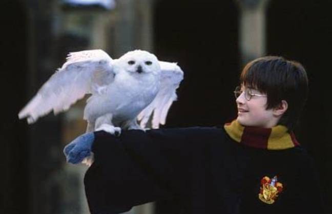 It's been more than 20 years since the world met Daniel Radcliffe as Harry. Credit: Warner Bros. 