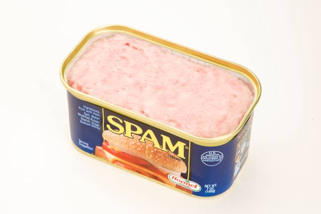 Spam was one of those packaged in the lunch box. Credit: Oz Digital / Alamy Stock Photo