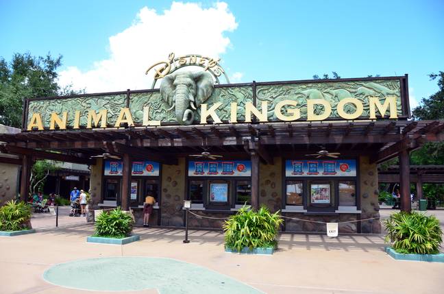 The fugitive was spotted at Disney's Animal Kingdom in Florida by an off-duty police officer. Credit: stephen searle/Alamy Stock Photo