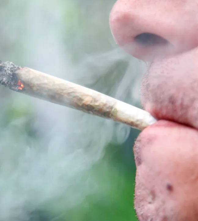 Tyson has previously said he wished he smoked earlier on in his life. Credit: Felipe Rodriguez / Alamy Stock Photo