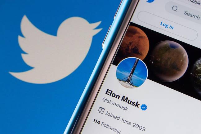  In a meeting with Twitter employees, Musk has reportedly said that he isn't too bothered about the tile of being a CEOCredit: Alamy