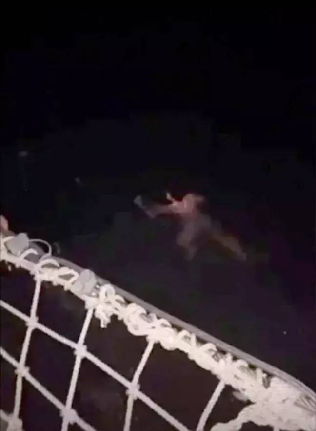 jump off cruise ship eaten by shark