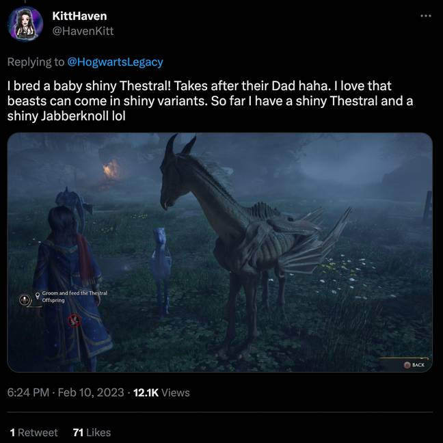 Some lucky - or unlucky, depending on how you see it - gamers have managed to spot a Thestral. Credit: @HavenKitt/ Twitter