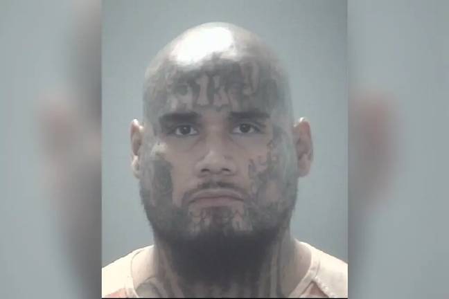 Florida Prosecutors want the death penalty for the 'demonic' MS-13 gang member accused of stabbing an Uber Eats driver to death 35 times and cutting up his body. Credit: Pasco County Sheriffâs Office