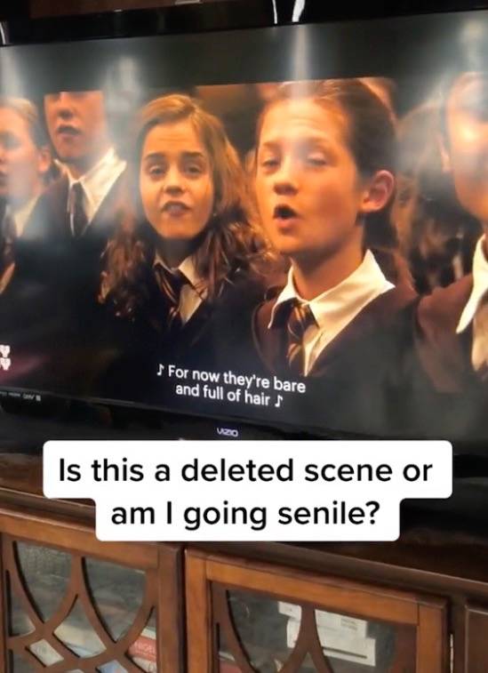 A TikToker is convinced that a deleted scene has ‘reappeared’ in Harry Potter and the Goblet of Fire and many others are backing her up. Credit: kristinamarieclaire/TikTok/Warner Bros.