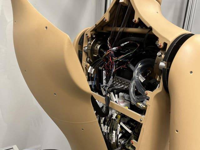 “ANDI sweats, he generates heat, shivers, walks and breathes,” said Konrad Rykaczewski, principal investigator for the ASU research project. Credit: Christopher Goulet/ASU