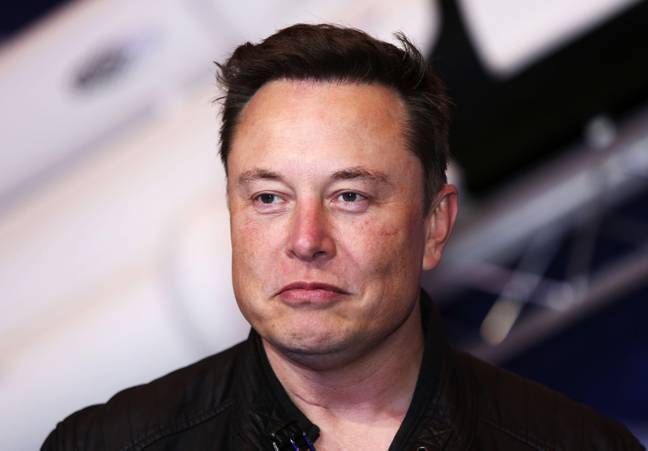 Elon Musk has lost $100bn over the past year. Credit: David Branson/Alamy